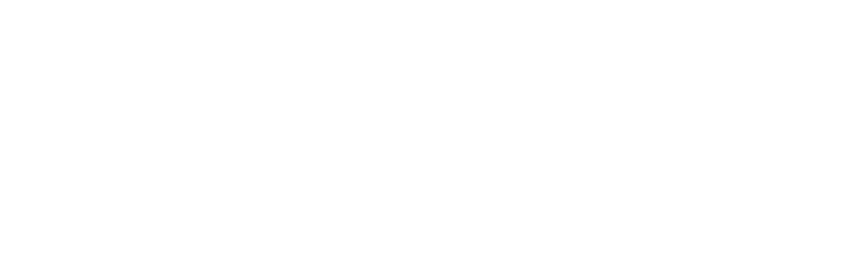 Studio 100 Hair & Esthetics Logo