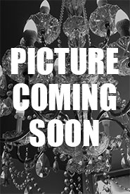 Picture Coming Soon graphic